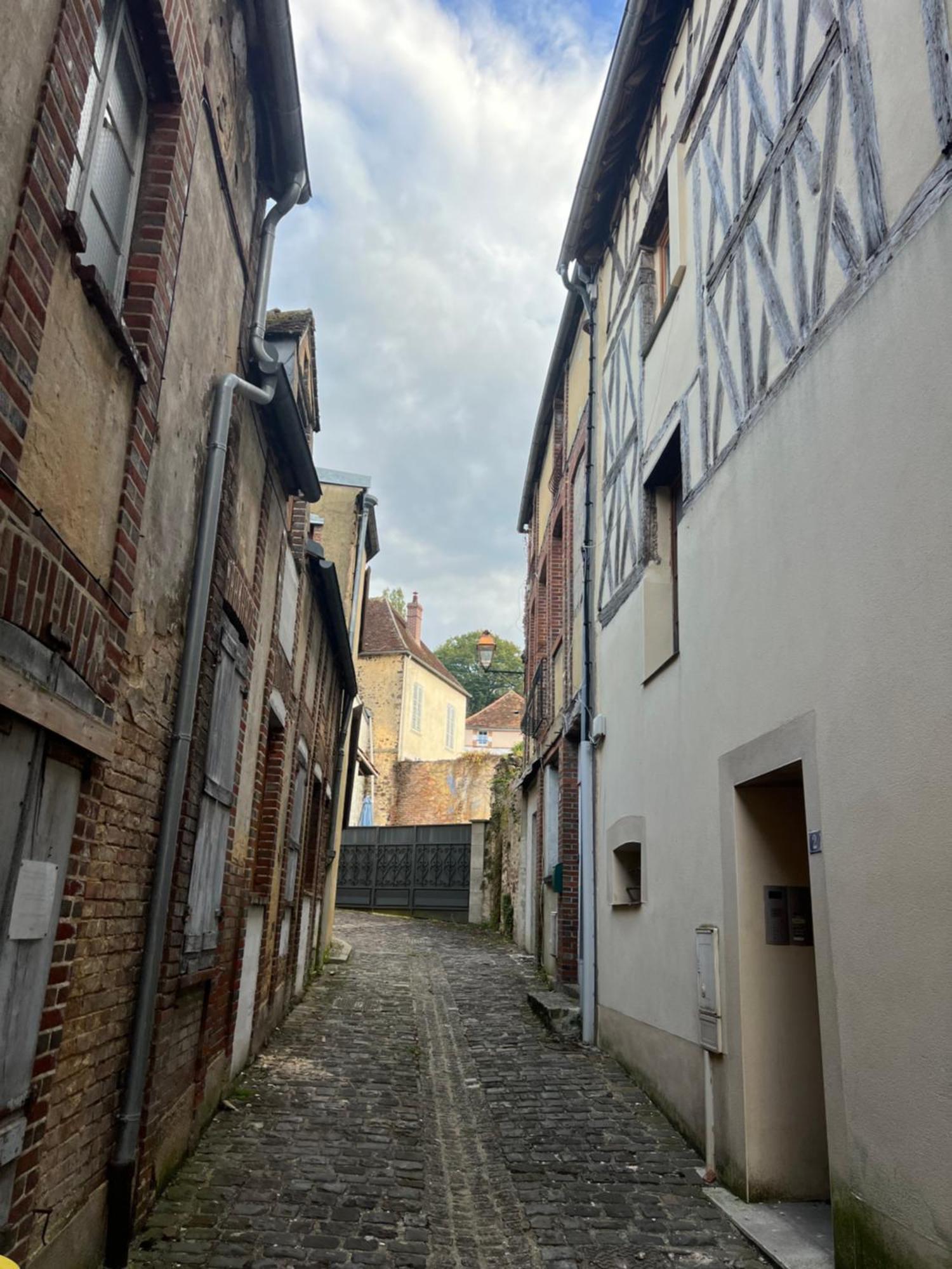 Le Citadin Bourguignon Affittacamere Toucy Esterno foto